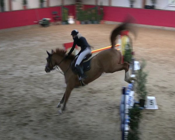 Reitturnier Klein Drehle - Reitanlage König 2023