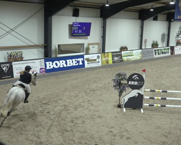 Reitturnier Borken 2023