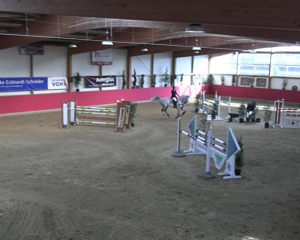 Reitturnier Klein Drehle - Reitanlage König 2023