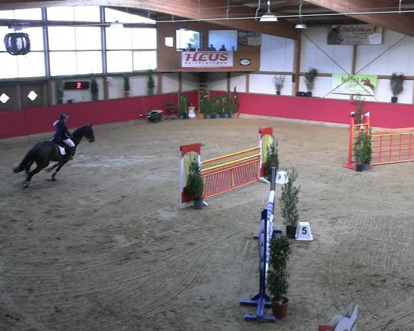Reitturnier Klein Drehle - Reitanlage König 2023
