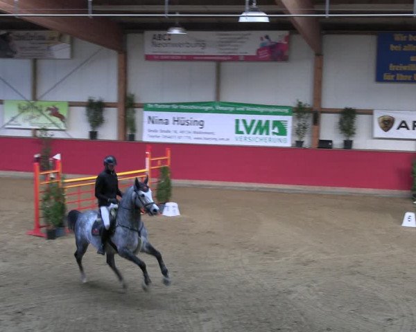 Reitturnier Klein Drehle - Reitanlage König 2023