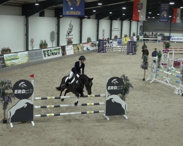 Reitturnier Borken 2023