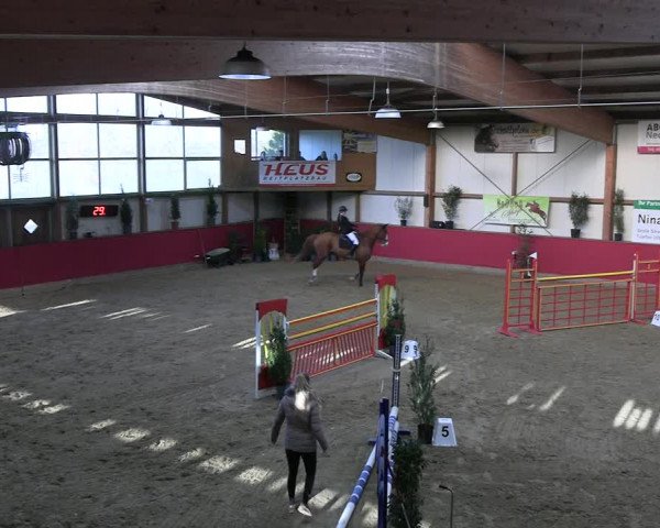 Reitturnier Klein Drehle - Reitanlage König 2023