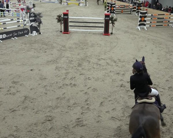 Reitturnier Borken 2023