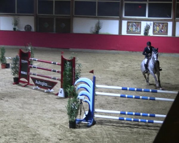 Reitturnier Klein Drehle - Reitanlage König 2023