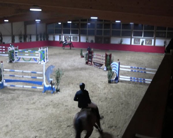 Reitturnier Klein Drehle - Reitanlage König 2023
