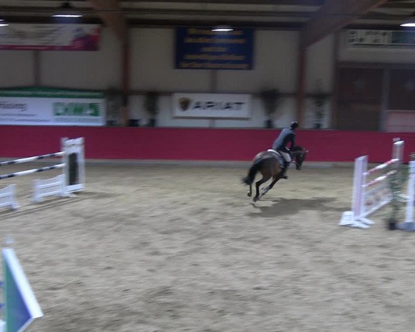 Reitturnier Klein Drehle - Reitanlage König 2023