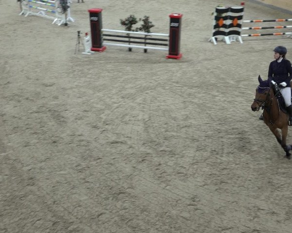 Reitturnier Borken 2023
