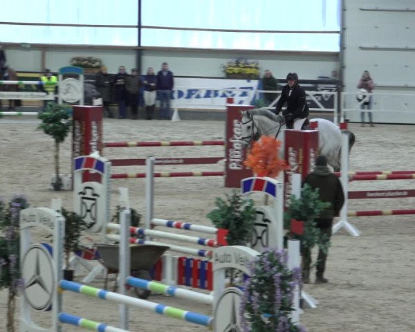 Reitturnier Borken 2023
