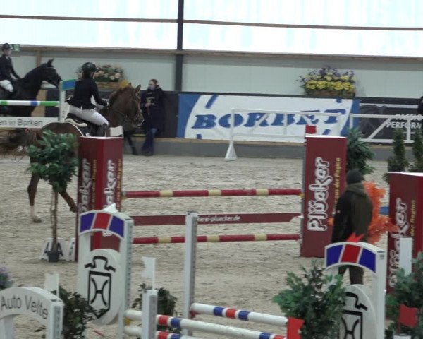 Reitturnier Borken 2023