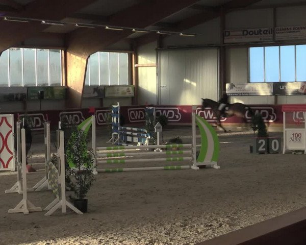 Reitturnier Goch-Asperden 2023