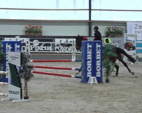 Reitturnier Borken 2023