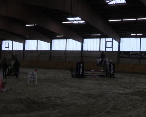 Reitturnier Steinhagen 2023