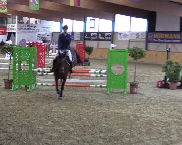 Reitturnier Steinhagen 2023