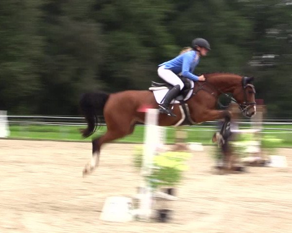 Reitturnier Haltern am See 2021