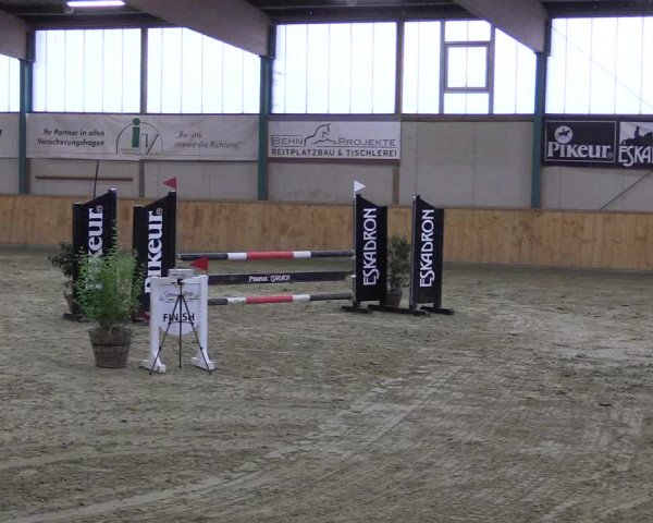 Reitturnier Steinhagen 2023