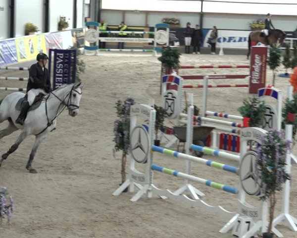 Reitturnier Borken 2023