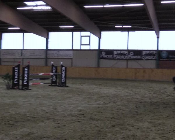 Reitturnier Steinhagen 2023