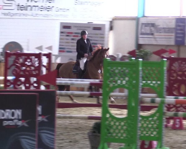Reitturnier Steinhagen 2023