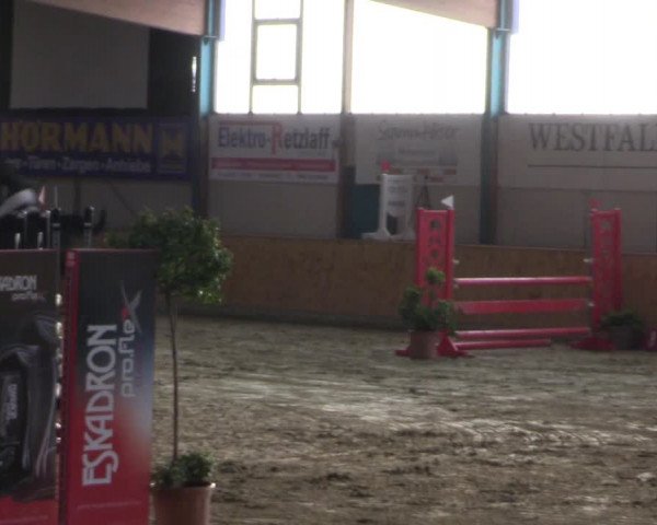 Reitturnier Steinhagen 2023