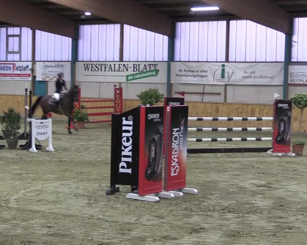 Reitturnier Steinhagen 2023