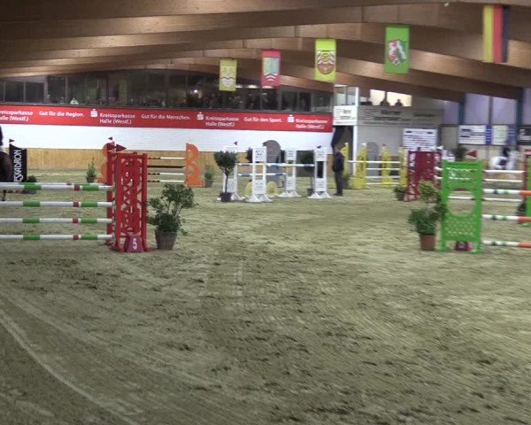 Reitturnier Steinhagen 2023