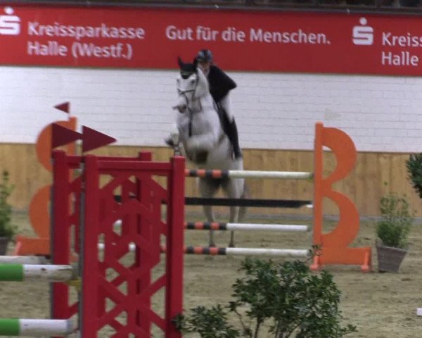 Reitturnier Steinhagen 2023