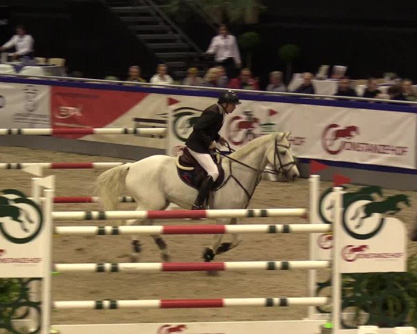 FEI Reitturnier Neumünster (GER) 2021