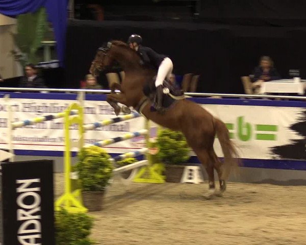 FEI Reitturnier Neumünster (GER) 2021