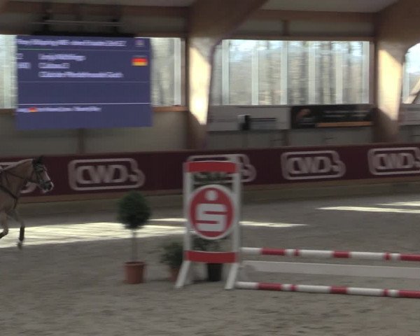 Reitturnier Goch-Asperden 2023