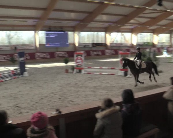Reitturnier Goch-Asperden 2023
