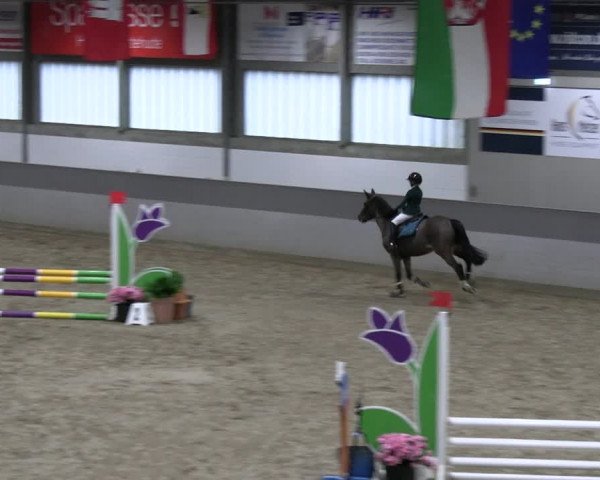Reitturnier Luhmühlen 2023