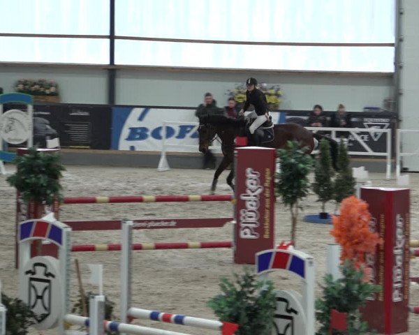 Reitturnier Borken 2023