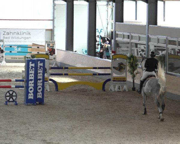 Reitturnier Borken 2023