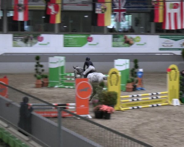 Reitturnier Luhmühlen 2023