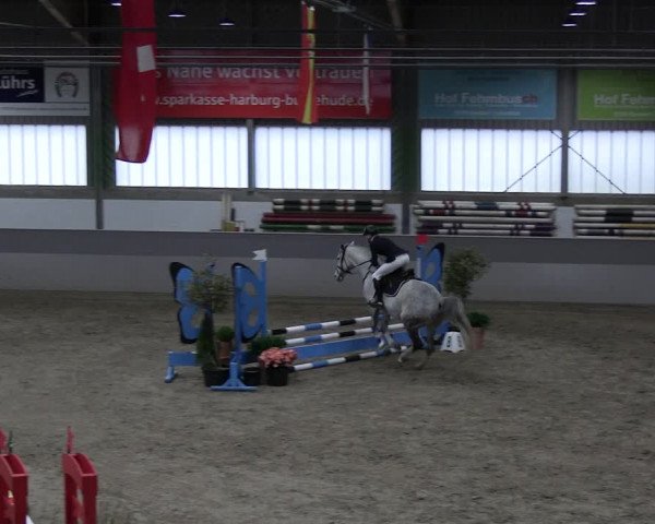 Reitturnier Luhmühlen 2023