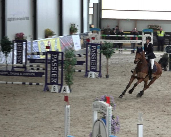 Reitturnier Borken 2023