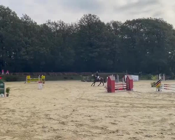 Reitturnier Wuppertal-Gelpe 2021