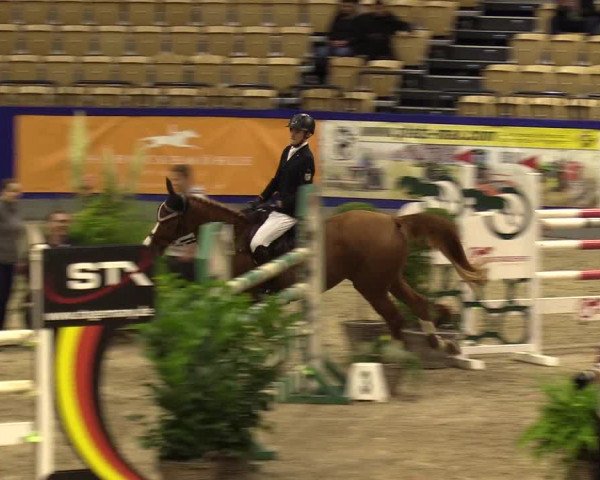 FEI Reitturnier Neumünster (GER) 2021