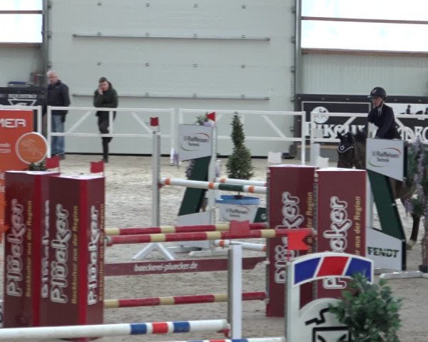 Reitturnier Borken 2023