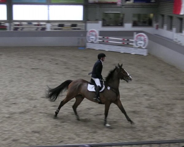 Reitturnier Luhmühlen 2023