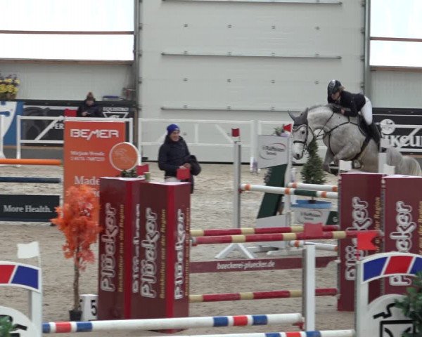 Reitturnier Borken 2023