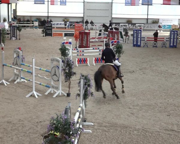 Reitturnier Borken 2023