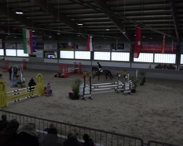 Reitturnier Luhmühlen 2023