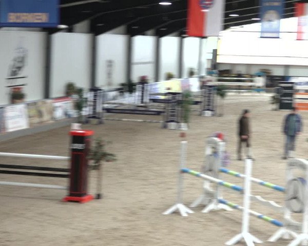 Reitturnier Borken 2023