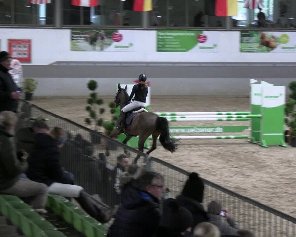 Reitturnier Luhmühlen 2023