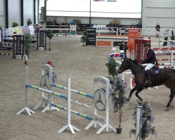 Reitturnier Borken 2023