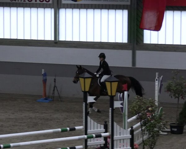 Reitturnier Luhmühlen 2023