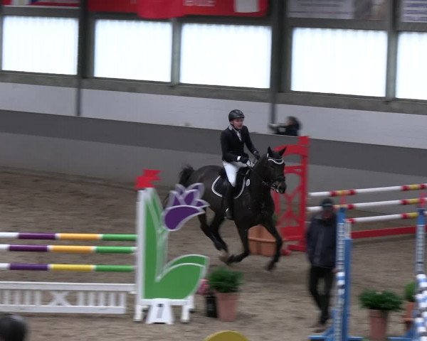 Reitturnier Luhmühlen 2023
