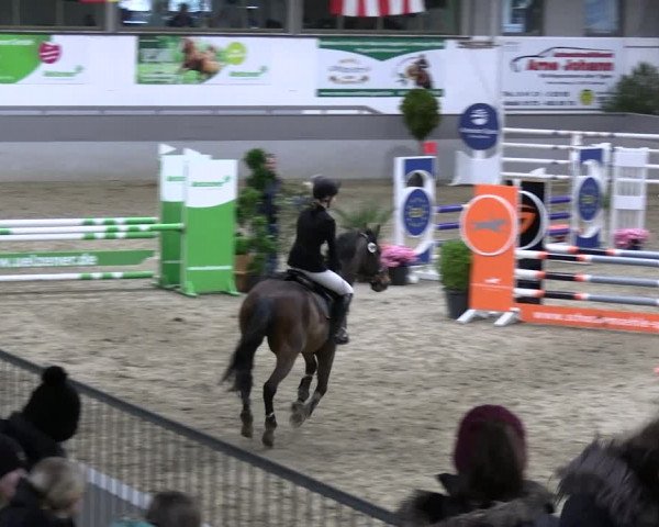 Reitturnier Luhmühlen 2023